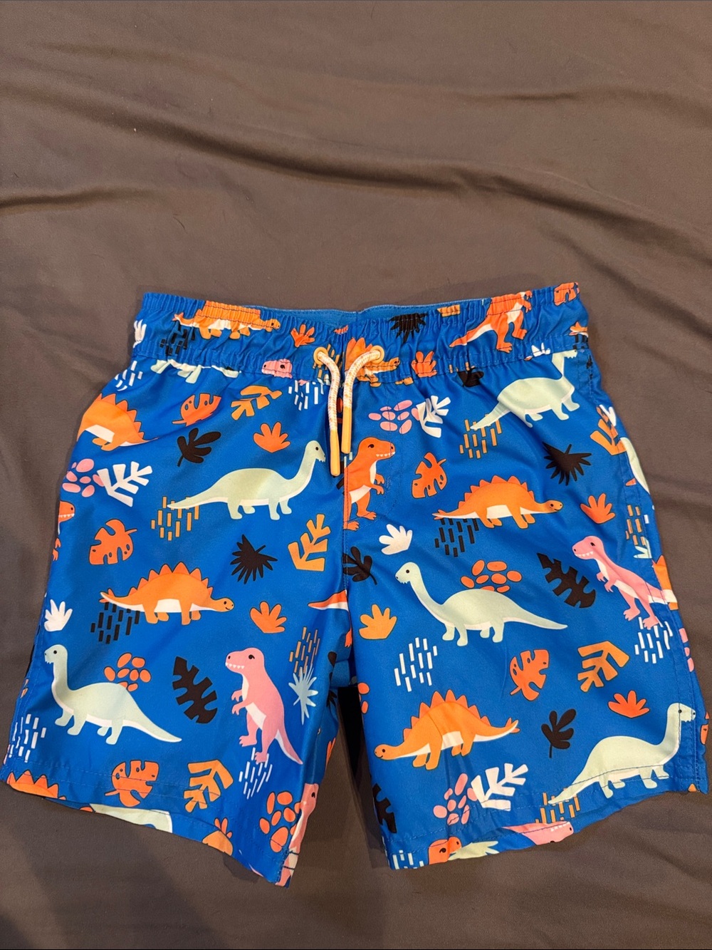 Cat & Jack Blue Dinosaur Swim Shorts with Multicolor Print